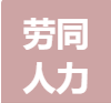 經(jīng)營(yíng)勞務(wù)派遣業(yè)務(wù)、人力資源風(fēng)險(xiǎn)管理咨詢(xún)、評(píng)估、評(píng)測(cè)等服務(wù)